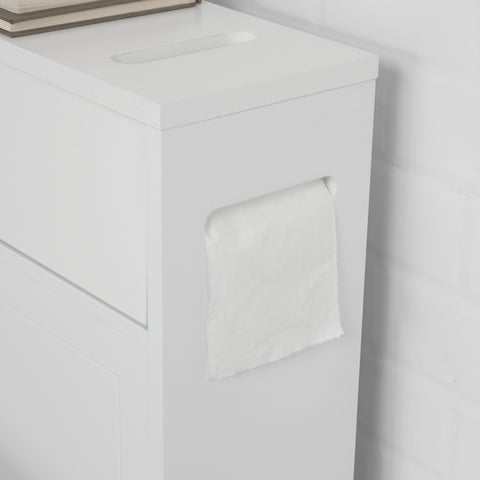 Bathroom Toilet Paper Storage Cabinet, BZR31-W