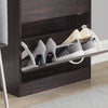 2 Flip-Drawers Shoe Cabinet Storage Organizer, FSR110-K-BR