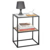 2 Tiers Side Table End Table Coffee Table, FBT94-PG